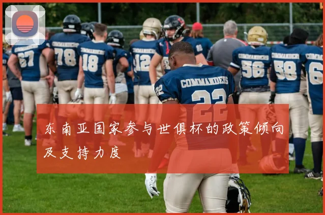 东南亚国家参与世俱杯的政策倾向及支持力度