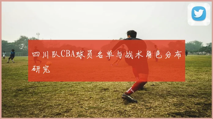四川队CBA球员名单与战术角色分布研究