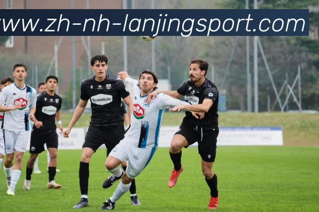 蓝鲸体育APP 封面图